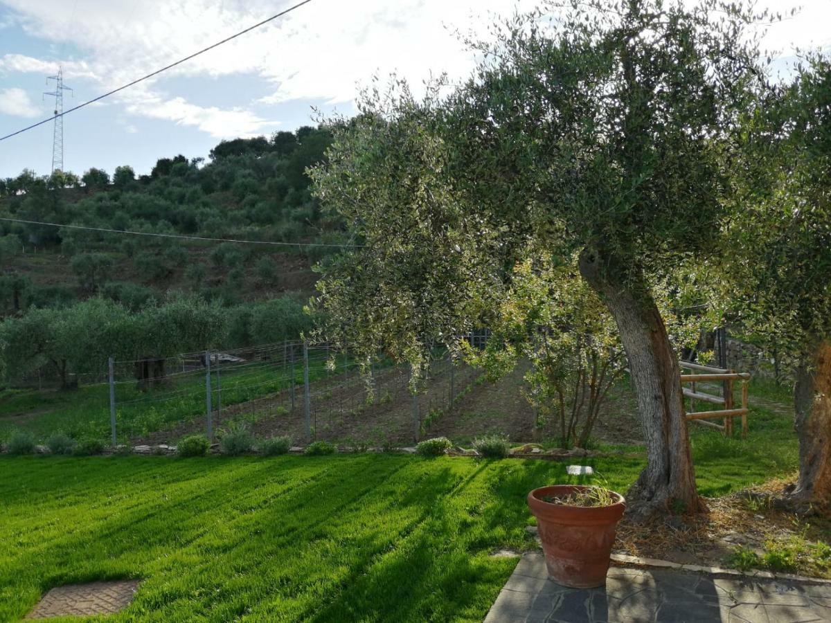 Agriturismo Oltrealmare Civezza Zewnętrze zdjęcie